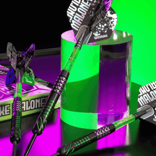 Winner Shane Ashworth background