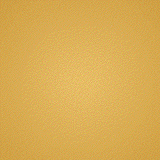 Winner Robin T. background