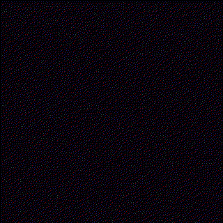 Winner Becky T. background