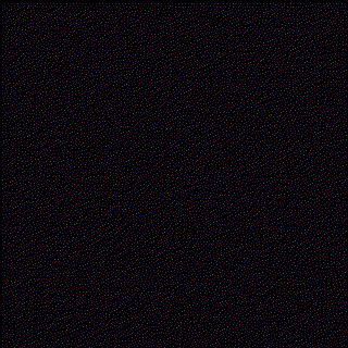 Winner Emma K. background