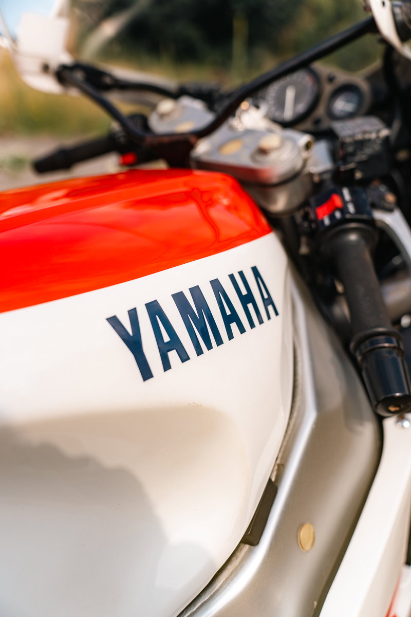 9TRcBx0Hk19qnEfg5ab18rlJUyDSOpiwpo88ZsRm.jpg