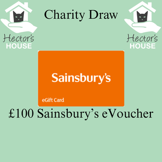 Winner Suzanne Hardman background