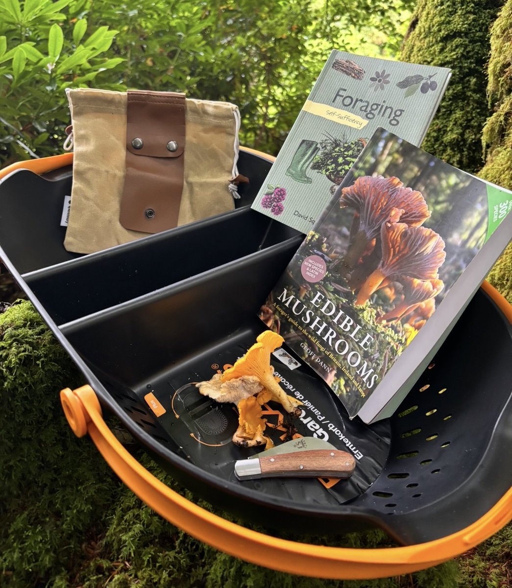 🍄 MUSHROOM FORAGING KIT 🌿 featured image