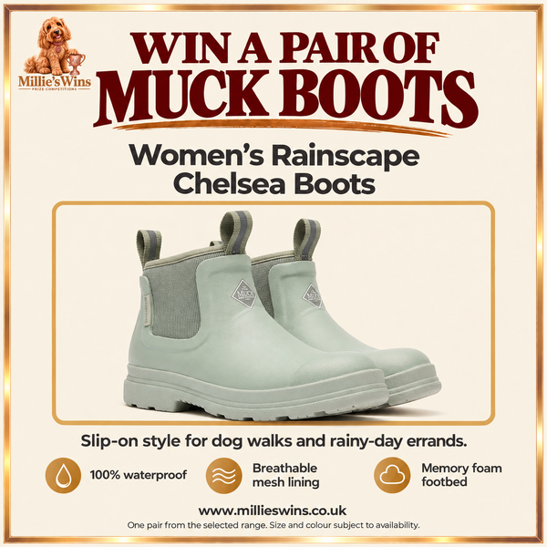 oAtWJ6sQJTlJkVq97Ne6d9qvSDa8zHtqD1CWehDb.png