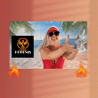 Winner Abbie Finley background