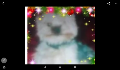 Winner TRACEY LAVENDER background