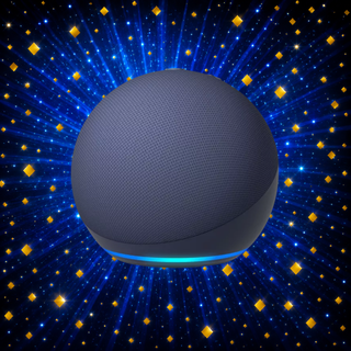 Winner Dan Sten background