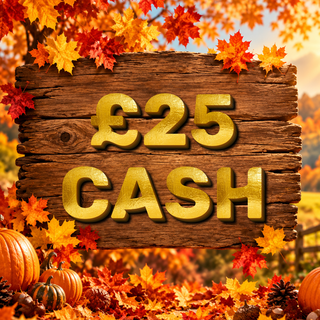 Winner Lynne Megahy background