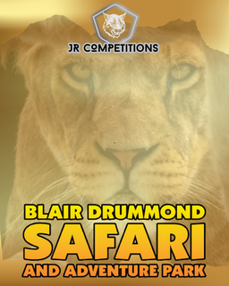 Winner Graeme McInnes background