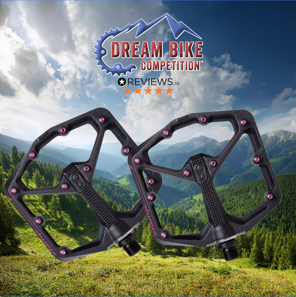 FREE COMP #19 featured image